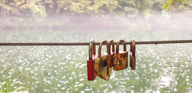 istock Locks on metal wire against the river 1173423583