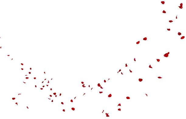 istock Red rose petals fly into the distance 1173424638
