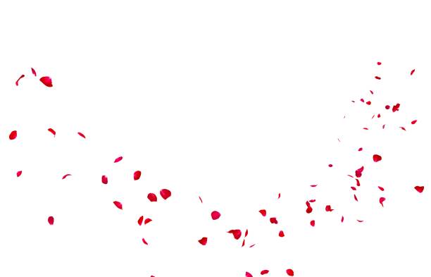 istock Red rose petals fly into the distance 1173425364