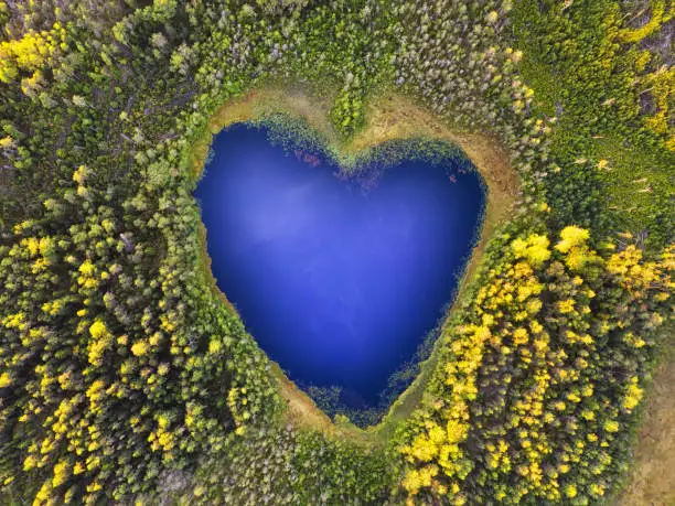 Photo of Forest heart shaped lake with sky reflection top aerial view