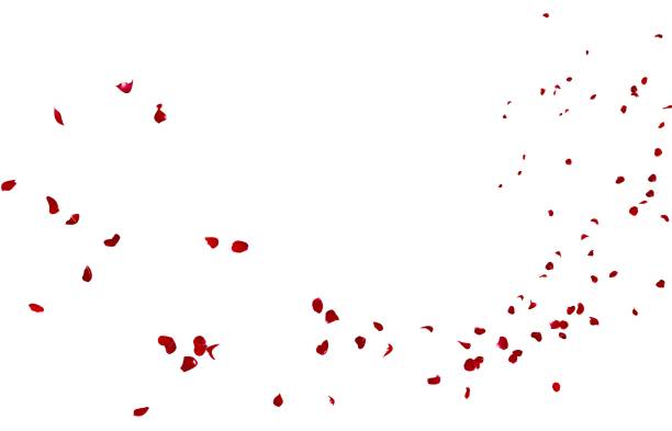 istock Red rose petals fly into the distance 1173425890