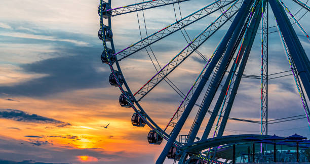 Seagull by Wheel at Sunset The ferris wheel on the waterfront of Seattle, Washington in late afternoon light seattle ferris wheel stock pictures, royalty-free photos & images