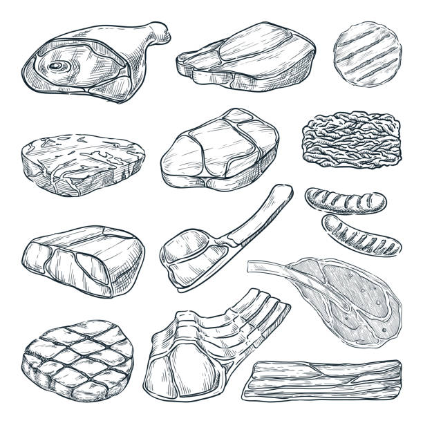 ilustrações de stock, clip art, desenhos animados e ícones de meat collection, sketch vector illustration. hand drawn food design elements. beef steak, ham, pork fillet, lamb - carne