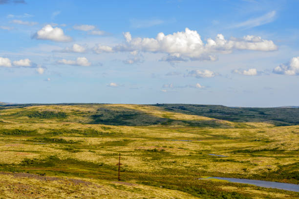 istock Traveling through the Murmansk tundra 1173427817