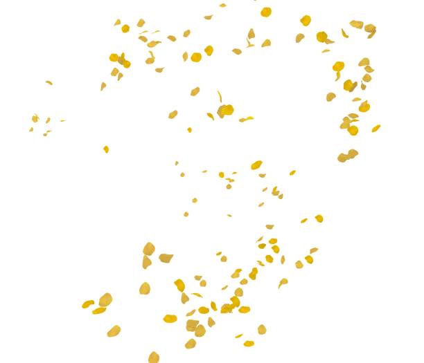 istock Yellow rose petals fly in the air 1173429121
