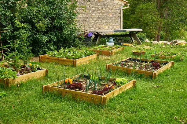 Photo of Organic Garden In Medieval Village On A Sunny Day At Cabiac Occitanie France