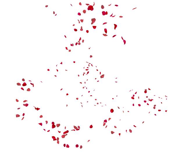 istock Red rose petals fly in the air 1173429411