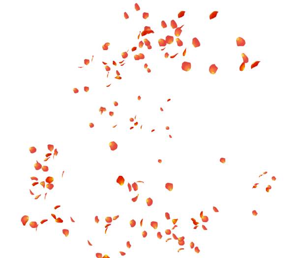istock Orange rose petals fly in the air 1173429451