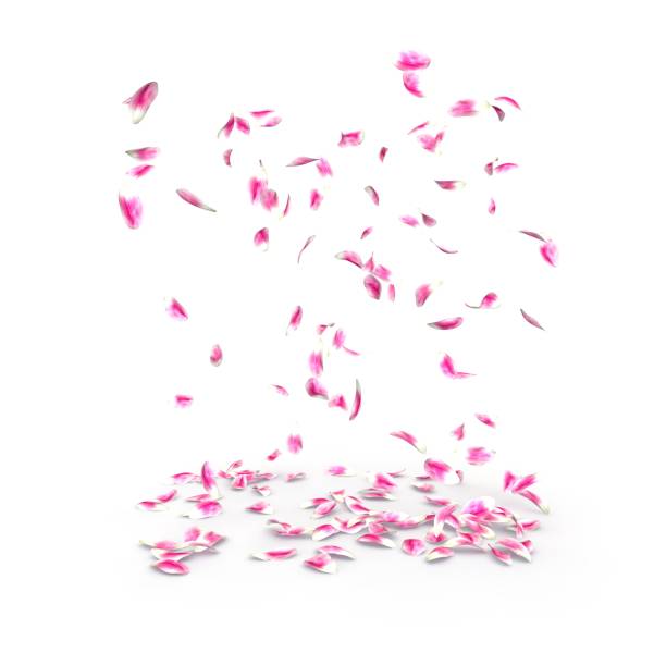 istock Tulip petals fall beautifully on the floor 1173429483