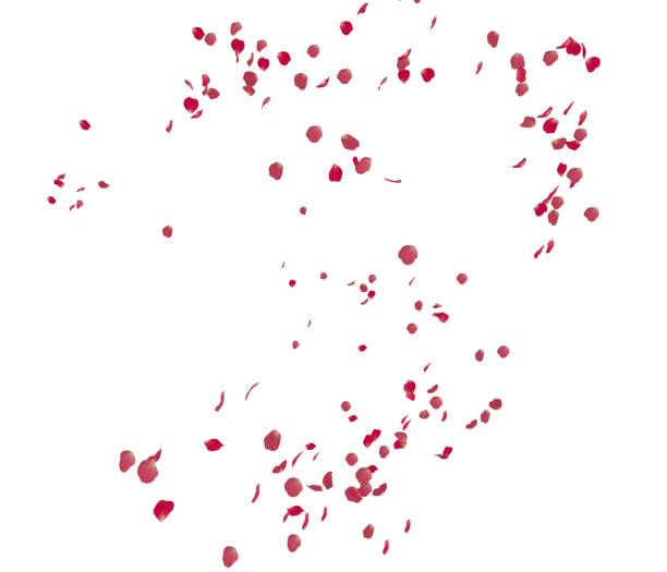 istock Red rose petals fly in the air 1173429601