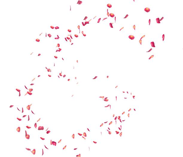 istock Red rose petals fly in the air 1173429756