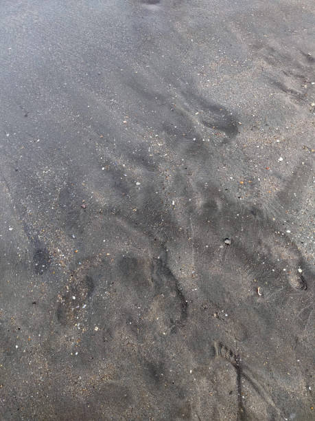 istock Foot prints in wet sand 1173431080