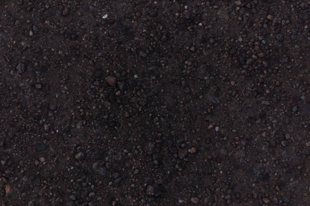 istock Gray earth mixed with small and large stones unsuitable for cultivation 1173435154