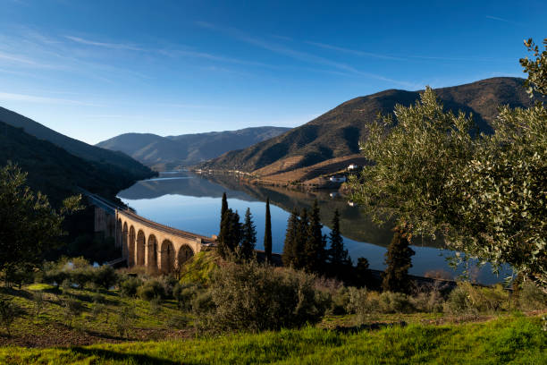 vista panoramica del fiume douro con vigneti terrazzati vicino al villaggio di foz coa - the douro foto e immagini stock