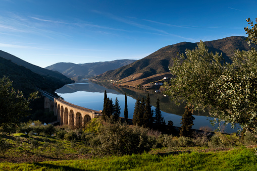 Scenic view of the Douro River with terraced vineyards near the village of Foz Coa, in Portugal; Concept for travel in Portugal and most beautiful places in Portugal