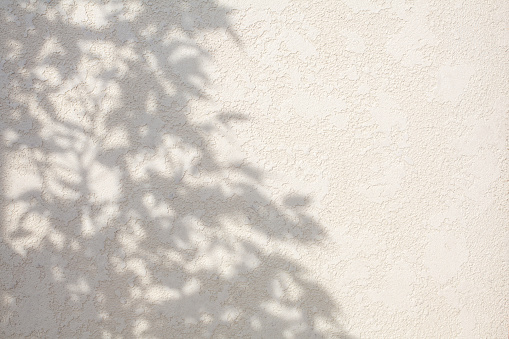 Abstract leaves shadow background on white concrete wall texture, nature shadow art on wall. White cement wall texture background. Natural light.