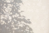 Abstract leaves shadow background on white concrete wall texture