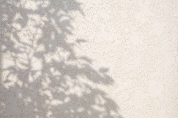 fundo abstrato da sombra das folhas na textura branca do muro de cimento - sunlight dappled summer leaf - fotografias e filmes do acervo