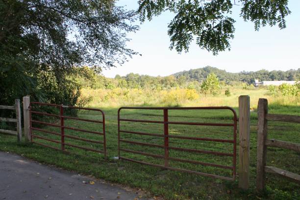 istock Rural gate along a trail in North Carolina 1173444587