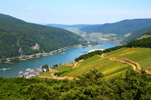 Amazing view over the river Rhine from the top of the hill in Rudesheim, Germany