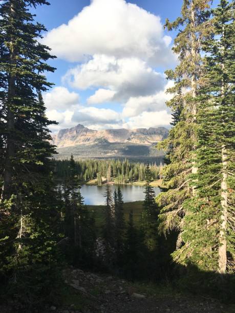 istock View of the Hayden Peak 1173447392