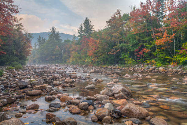 istock Autumn on the swift river 1173447430