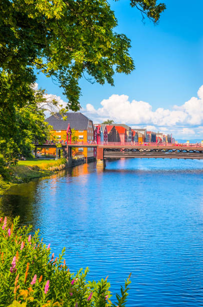 istock Panoramic view of beautiful city Trondheim, Norway 1173447614