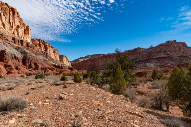 istock Scenic view of canyon in Utah 1173451235