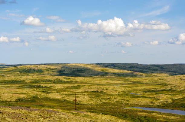 istock Traveling through the Murmansk tundra. 1173451559