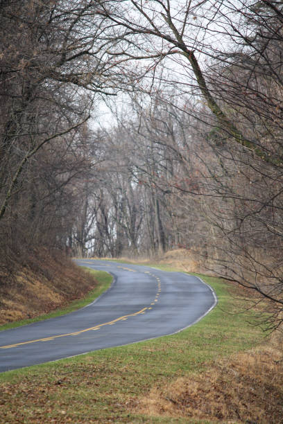 istock Road in national park at fall 1173451693