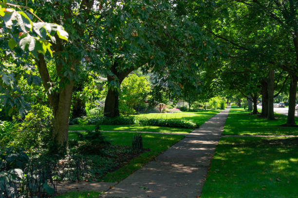 marciapiede ombreggiato residenziale con alberi verdi a evanston illinois - penombra foto e immagini stock