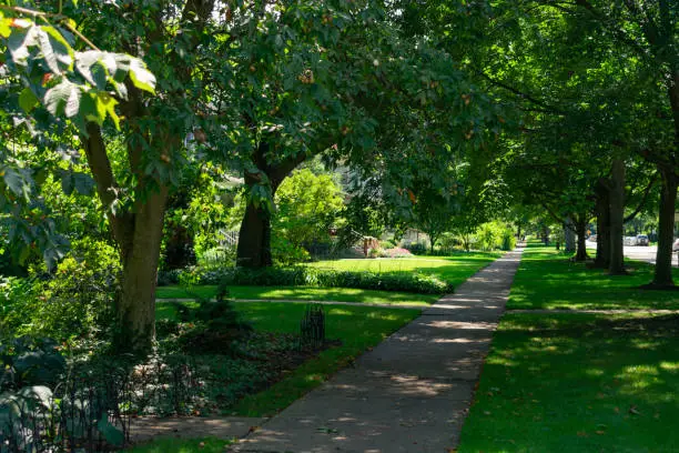 A residential sidewalk near homes and green trees providing shade during the summer in the Chicago suburb of Evanston Illinois