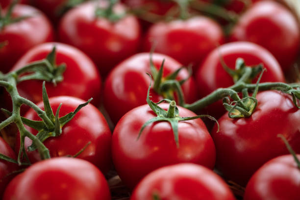istock Fresh organic garden tomato 1173452860