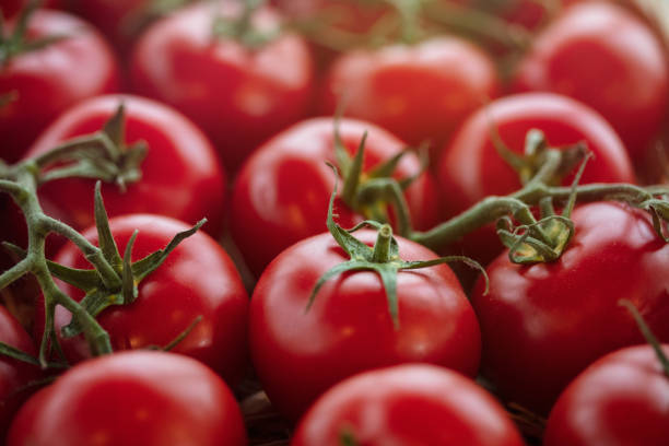 istock Fresh organic garden tomato 1173452867