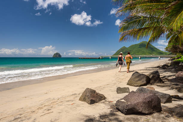 Beach of Anse Figuier, Martinique