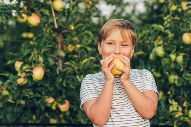 istock Kid boy playing in apple orchard, wearing stripe t-shirt 1173458653