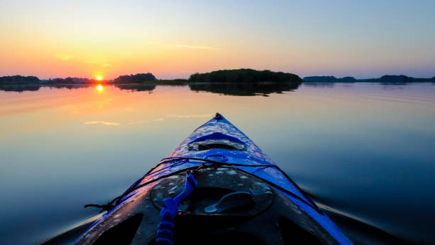istock Tsala Apopka Lake 3 1173467703