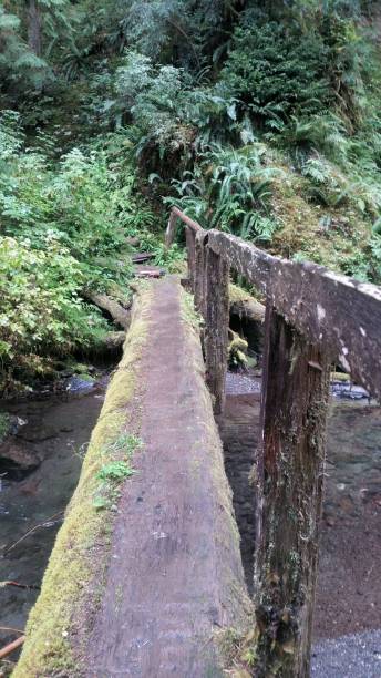 istock 1 of 7 Bridges Little River 1173468916