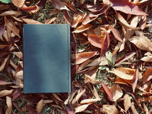 istock Books and autumn maple leaves 1173473472
