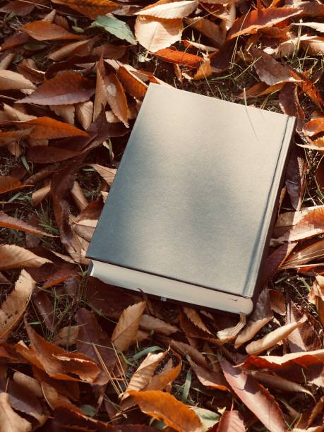 istock Books and autumn maple leaves 1173473479