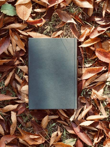 istock Books and autumn maple leaves 1173473492