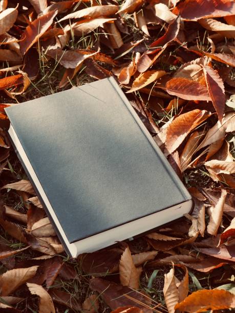 istock Books and autumn maple leaves 1173473494
