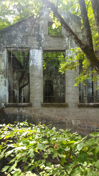 istock Abandoned mill in Gatineau Park (photo5) 1173475459
