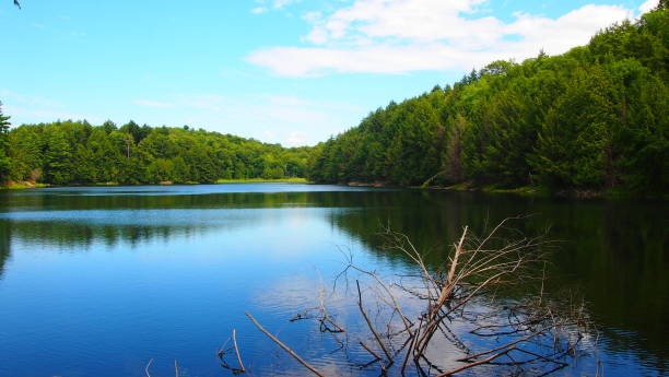 istock On the shores of Lake Meech (photo12) 1173477413