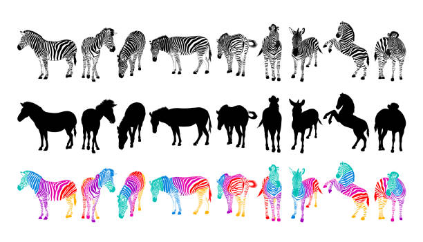 442 Rainbow Zebra Stock Photos - Free & Royalty-Free Stock Photos from  Dreamstime