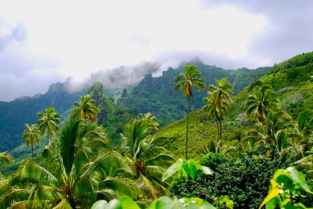 istock Forested Mountains of Moorea 4 1173480756