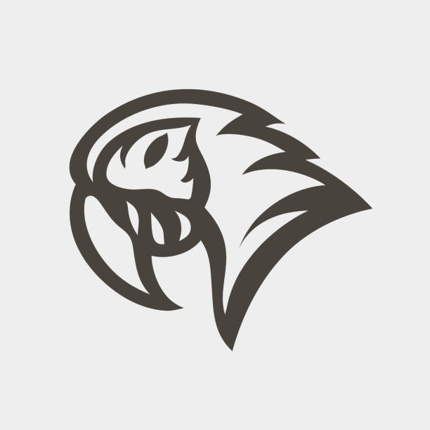Macaw logo icon design illustration vector art illustration