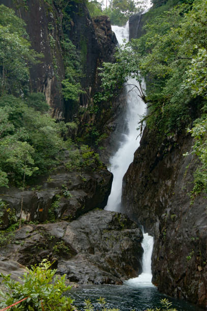 istock Scenic view of the tropical waterfall in rainforest 1173482834