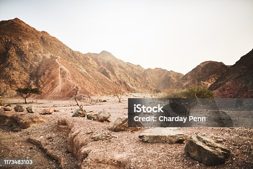 istock What happened to all the water? 1173483103