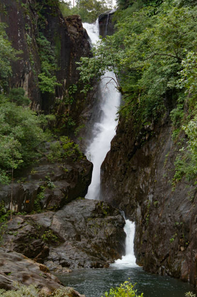 istock Scenic view of the tropical waterfall in rainforest 1173483812